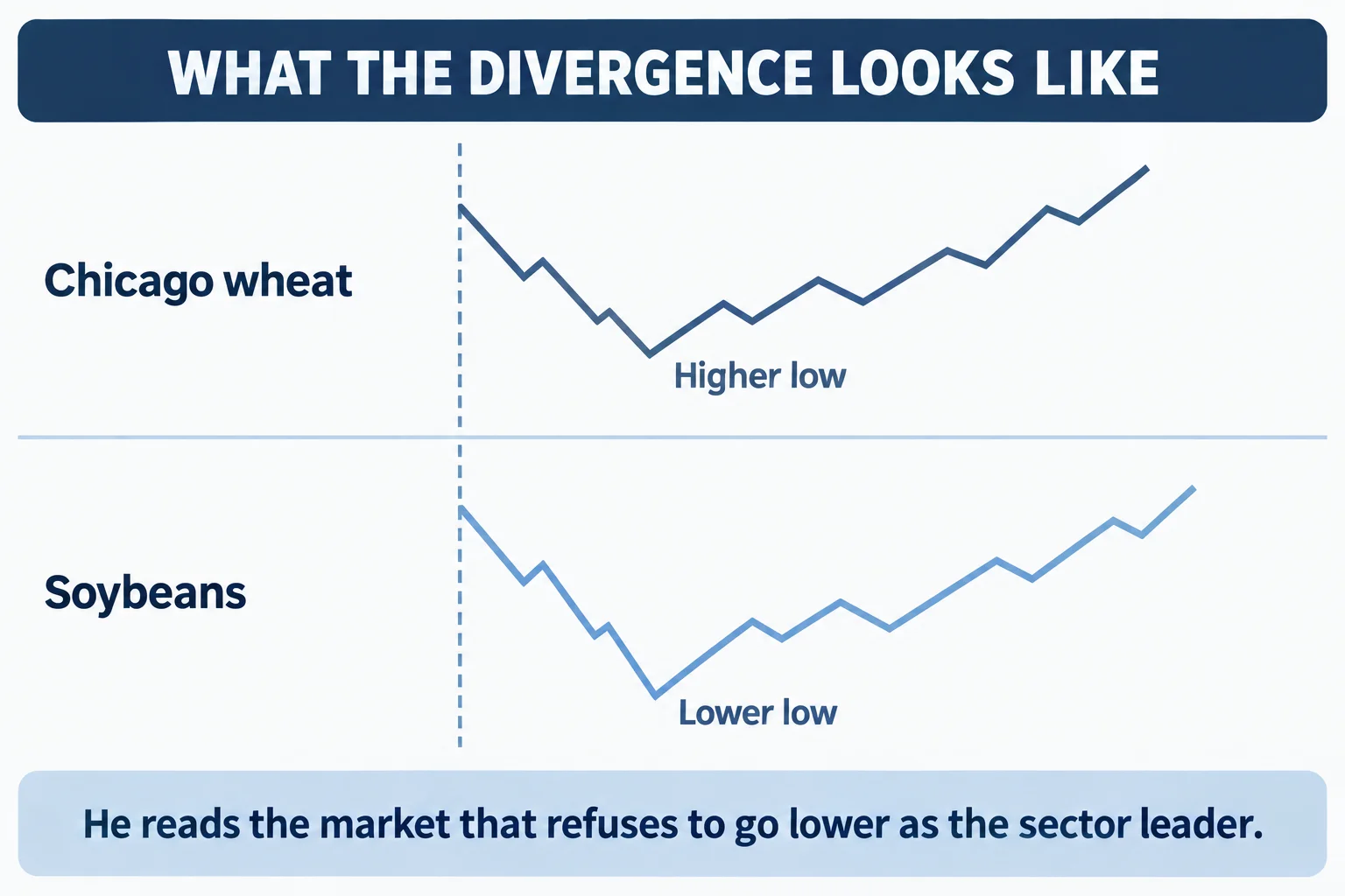 Educational schematic titled WHAT THE DIVERGENCE LOOKS LIKE with two stacked lanes. The upper lane is labelled Chicago wheat and its line low is labelled Higher low; the lower lane is labelled Soybeans and its line low is labelled Lower low; a footer reads He reads the market that refuses to go lower as the sector leader. AI-generated diagram of the comparison the speaker describes; it carries no prices, dates or chart data.