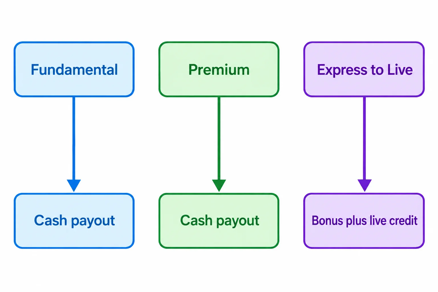 Phidias alternatives comparison showing Fundamental, Premium and Express to Live paths